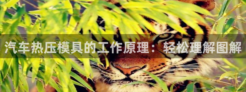 emc易赔