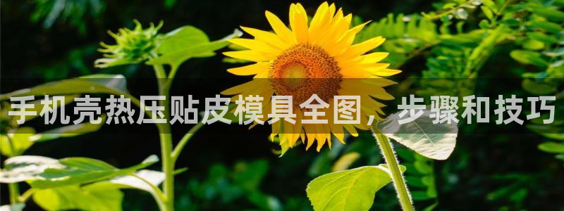 emc易赔