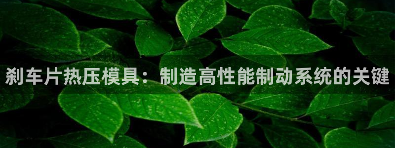 易倍电竞