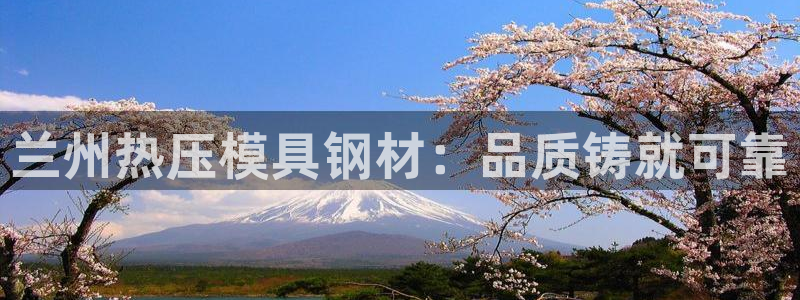 易倍达怎么样