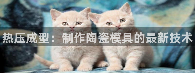 EMC倍频原理