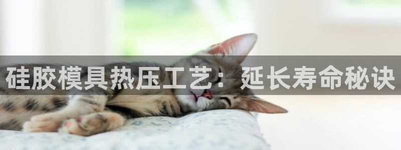 易倍纤使用方法
