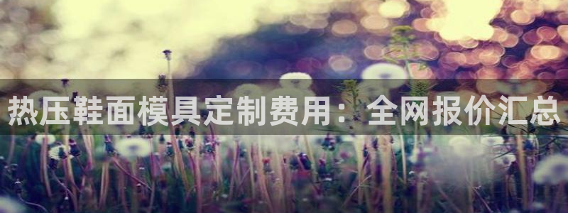 emc 倍频
