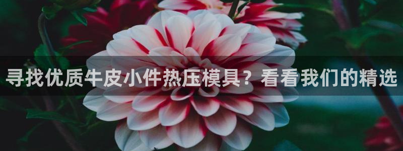 易倍申厂家