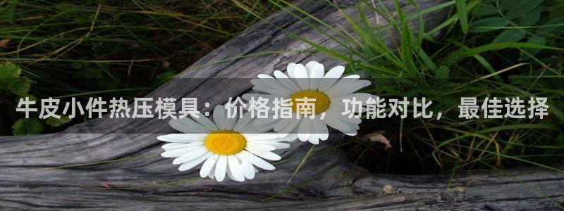 emc易倍官网app下载：牛皮小件热压模具：价格指南，功