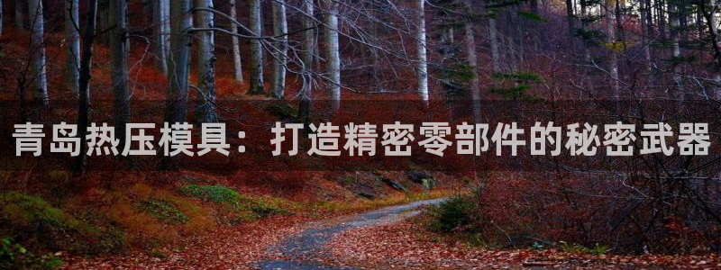 emc全站网页版：青岛热压模具：打造精密零部件的秘密武器