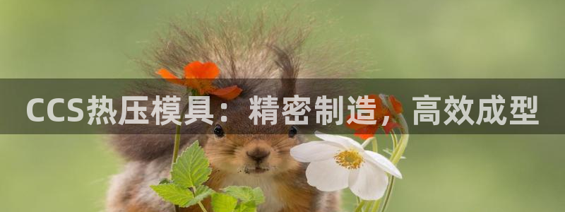 易倍达科技有限公司