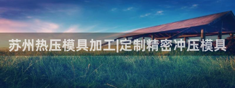 易倍申片的功效与作用：苏州热压模具加工|定制精密冲压模具