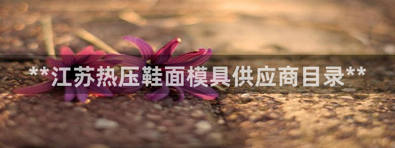 易倍达科技有限公司官网：**江苏热压鞋面模具供应商目录*