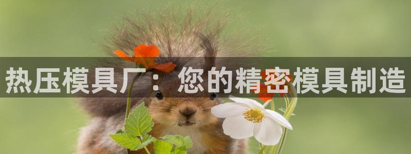 emc频率范围：热压模具厂：您的精密模具制造