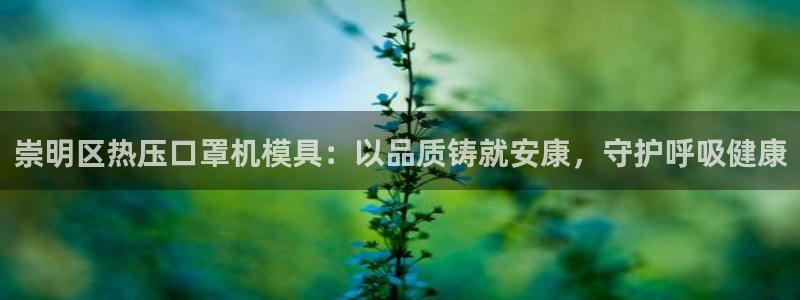 易倍申价格是多少：崇明区热压口罩机模具：以品质铸就安康，