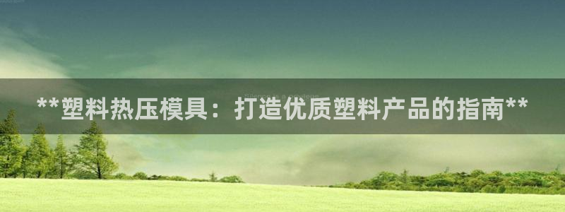 易倍单词官方网站登录：**塑料热压模具：打造优质塑料产品