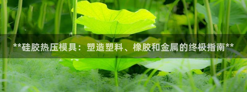 EMC易倍官网招聘：**硅胶热压模具：塑造塑料、橡胶和金