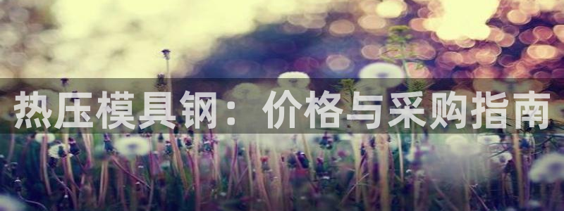 emc软件下载：热压模具钢：价格与采购指南