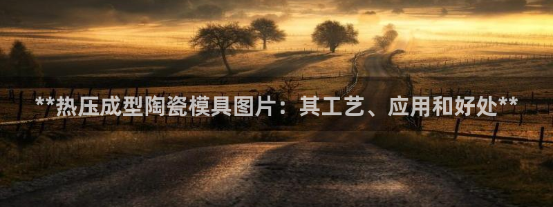 易倍电竞安装教程：**热压成型陶瓷模具图片：其工艺、应用