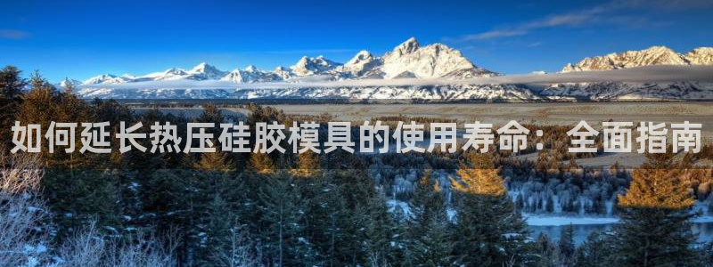 emc易倍平台：如何延长热压硅胶模具的使用寿命：全面指南