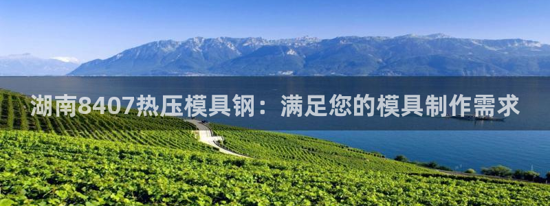 易倍emc安全吗：湖南8407热压模具钢：满足您的模具制