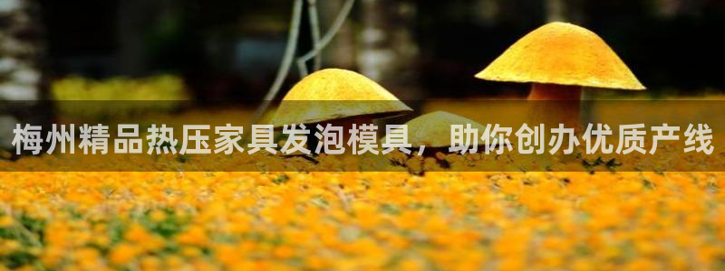 易倍申片能长期服用吗