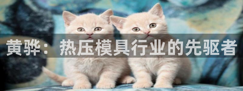 易倍申多少钱一盒