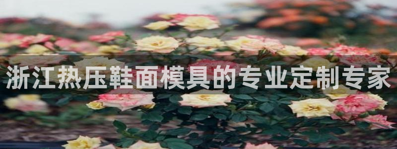 emc 倍频：浙江热压鞋面模具的专业定制专家