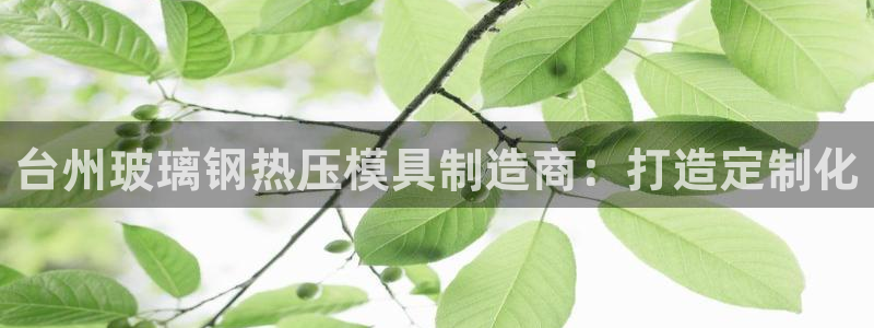 emc易倍官网首页进入