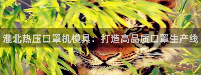 emc易倍全站：淮北热压口罩机模具：打造高品质口罩生产线
