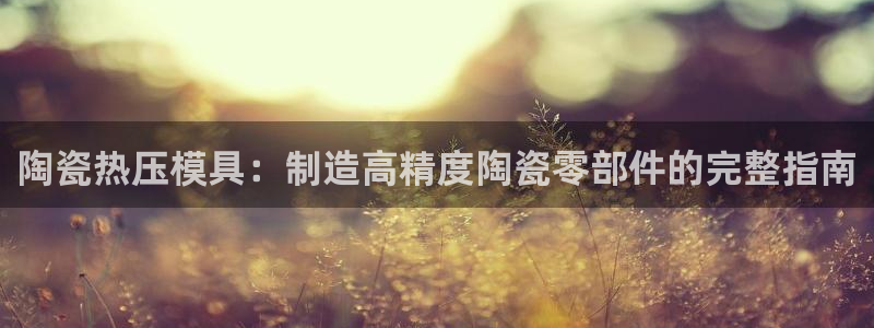 易倍易倍单词官方网站：陶瓷热压模具：制造高精度陶瓷零部件