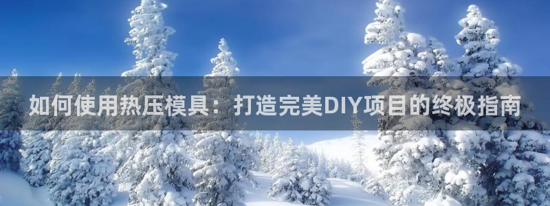 EMC易倍官方平台：如何使用热压模具：打造完美DIY项目