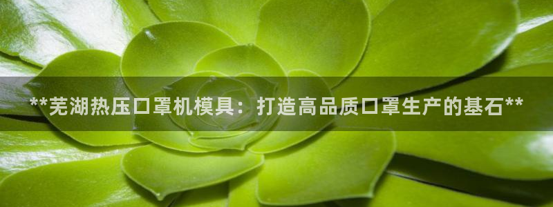 易倍企业管理软件：**芜湖热压口罩机模具：打造高品质口罩