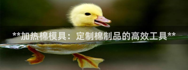 易倍纤代餐奶昔怎么样：**加热棉模具：定制棉制品的高效工