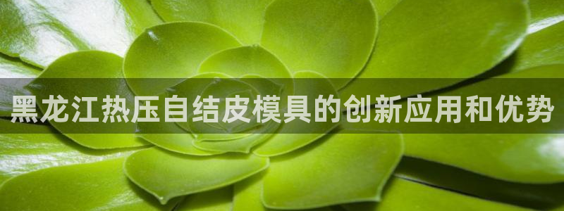 易倍电竞安装教程
