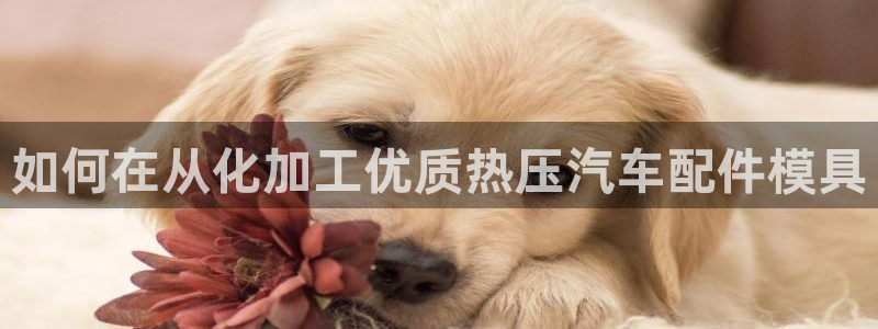 易倍下载地址