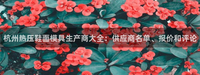 易倍英语官方网站登录