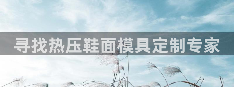 易倍网络技术有限公司官网