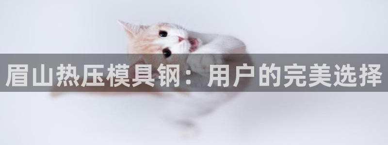 易倍网页版登录：眉山热压模具钢：用户的完美选择