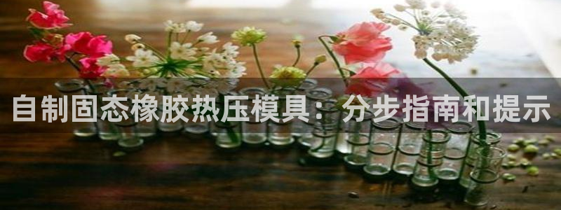 易倍申片：自制固态橡胶热压模具：分步指南和提示