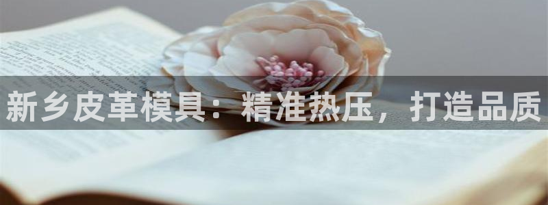 emc全站ag