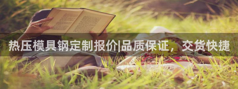 易倍纤能减肥吗：热压模具钢定制报价|品质保证，交货快捷