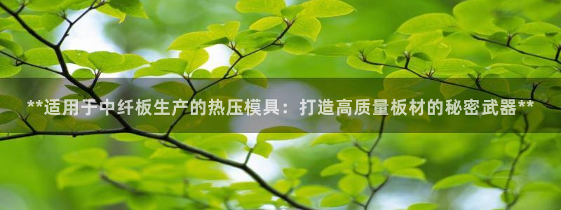 易倍申在中国成功上市：**适用于中纤板生产的热压模具：打