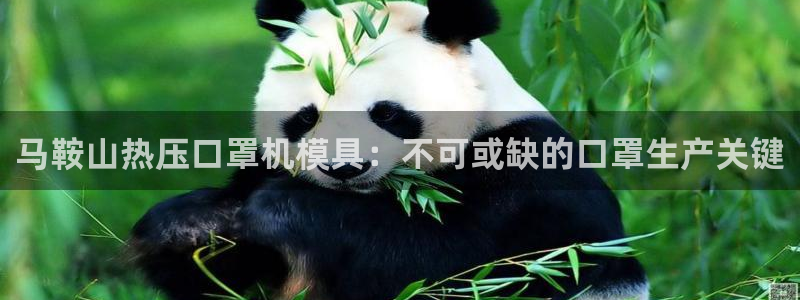易倍纤使用方法