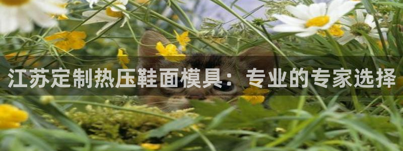 易倍下载地址：江苏定制热压鞋面模具：专业的专家选择