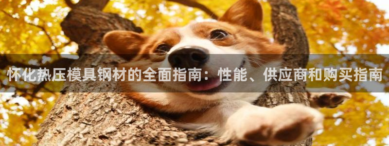emc下载：怀化热压模具钢材的全面指南：性能、供应商和购