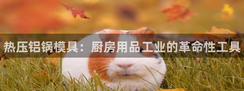 易倍单词app：热压铝锅模具：厨房用品工业的革命性工具