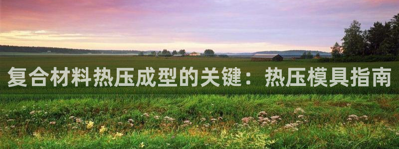 易倍申片：复合材料热压成型的关键：热压模具指南