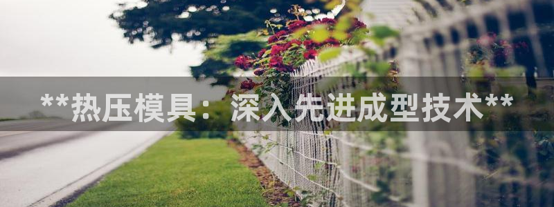 emc低频：**热压模具：深入先进成型技术**