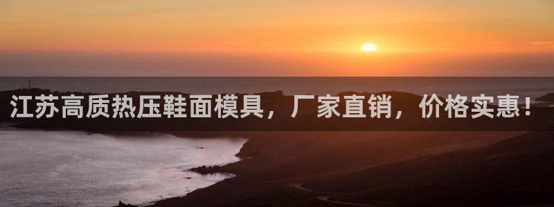 emc服务器是干啥的：江苏高质热压鞋面模具，厂家直销，价