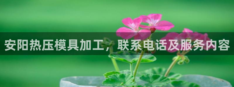易倍网络技术有限公司