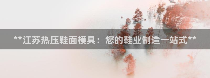 emcbet全站：**江苏热压鞋面模具：您的鞋业制造一站