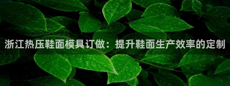 易倍达科技有限公司怎么样：浙江热压鞋面模具订做：提升鞋面