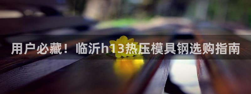 杭州易倍达科技有限公司怎么样